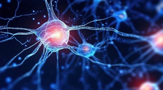 Epilepsy Control: Vagus Nerve Stimulation Breakthroughs