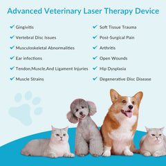 ZJZK 3W-12W Professional Class IV Laser Therapy Device for Pain Relief & Recovery